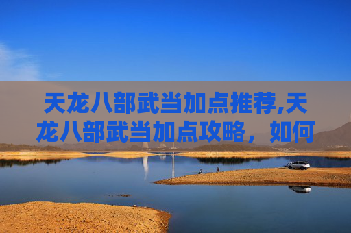 天龙八部武当加点推荐,天龙八部武当加点攻略，如何打造最强武当？