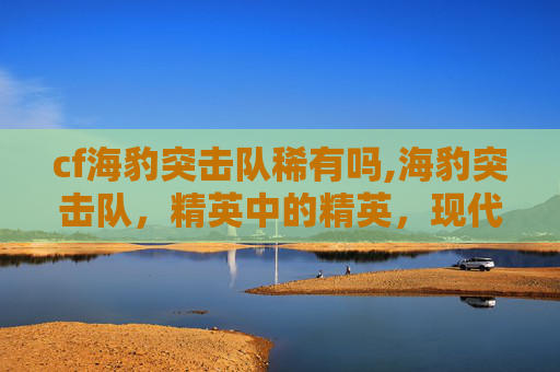 cf海豹突击队稀有吗,海豹突击队，精英中的精英，现代特种作战的典范