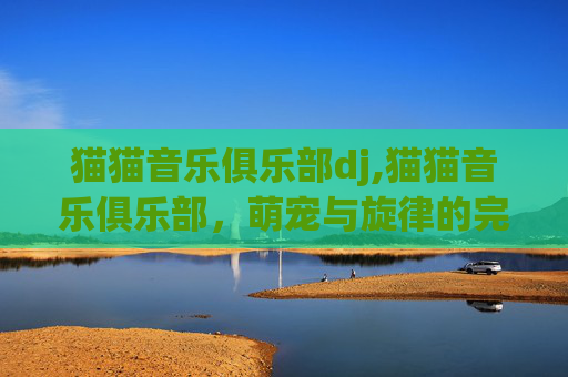 猫猫音乐俱乐部dj,猫猫音乐俱乐部，萌宠与旋律的完美邂逅