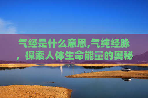 气经是什么意思,气纯经脉，探索人体生命能量的奥秘