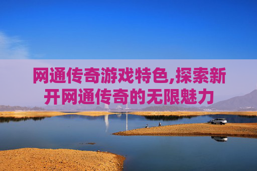 网通传奇游戏特色,探索新开网通传奇的无限魅力