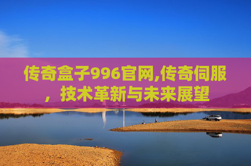 传奇盒子996官网,传奇伺服，技术革新与未来展望