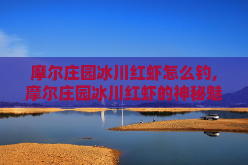 摩尔庄园冰川红虾怎么钓,摩尔庄园冰川红虾的神秘魅力