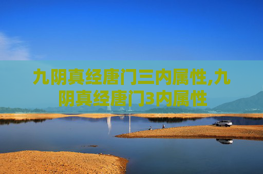 九阴真经唐门三内属性,九阴真经唐门3内属性
