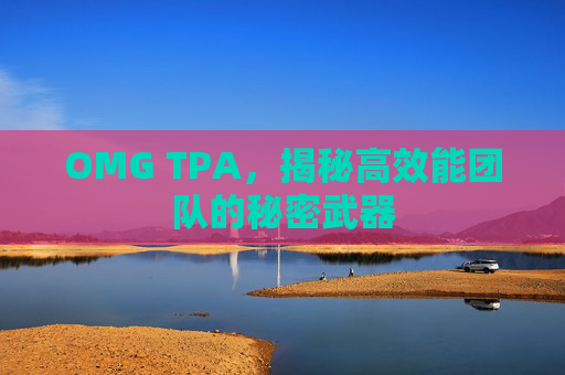 OMG TPA，揭秘高效能团队的秘密武器