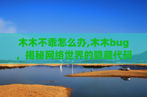 木木不乖怎么办,木木bug,揭秘网络世界的隐藏代码 木木不乖怎么办,木木bug,揭秘网络世界的隐藏代码