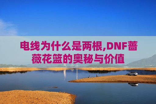 电线为什么是两根,DNF蔷薇花篮的奥秘与价值