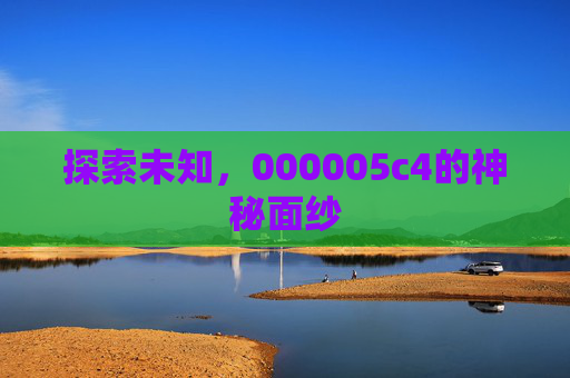 探索未知，000005c4的神秘面纱