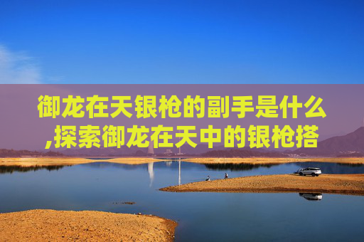 御龙在天银枪的副手是什么,探索御龙在天中的银枪搭配艺术