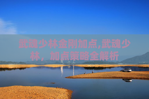 武魂少林金刚加点,武魂少林，加点策略全解析