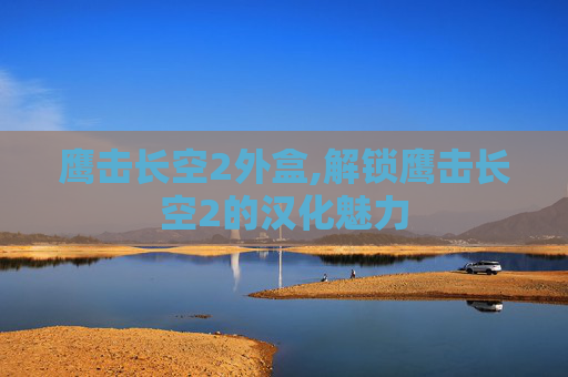 鹰击长空2外盒,解锁鹰击长空2的汉化魅力