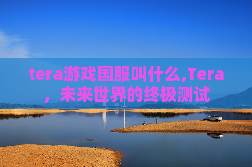 tera游戏国服叫什么,Tera，未来世界的终极测试
