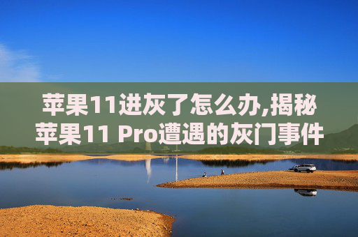 苹果11进灰了怎么办,揭秘苹果11 Pro遭遇的灰门事件