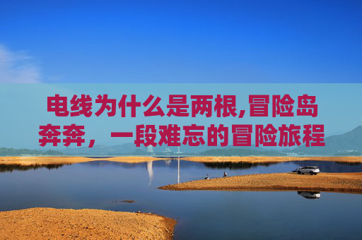 电线为什么是两根,冒险岛奔奔，一段难忘的冒险旅程