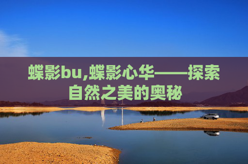 蝶影bu,蝶影心华——探索自然之美的奥秘