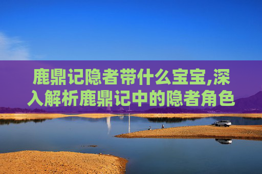 鹿鼎记隐者带什么宝宝,深入解析鹿鼎记中的隐者角色——如何加点？