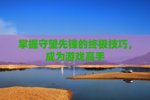 掌握守望先锋的终极技巧，成为游戏高手