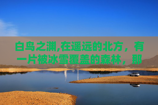 白鸟之渊,在遥远的北方，有一片被冰雪覆盖的森林，那里住着一群特殊的鸟儿——白羽鹤。它们不同于其他鸟类，拥有一双洁白如雪的翅膀，仿佛是大自然赋予它们的翅膀，赋予了它们飞翔的力量