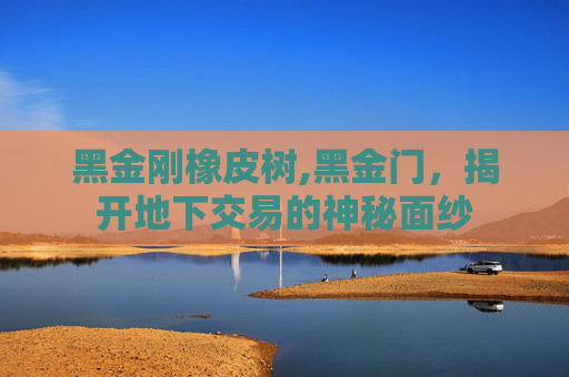 黑金刚橡皮树,黑金门，揭开地下交易的神秘面纱