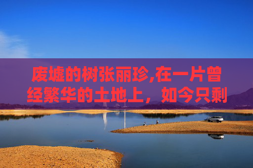 废墟的树张丽珍,在一片曾经繁华的土地上，如今只剩下了断壁残垣。曾经的高楼大厦、车水马龙，都已成为过去。然而，在这废墟之中，却有一棵顽强生长的树，它似乎在告诉我们，即使在最黑暗的时刻，生命依然能够找到一线光明