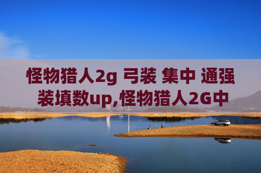 怪物猎人2g 弓装 集中 通强 装填数up,怪物猎人2G中的弓装技巧与策略