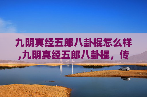 九阴真经五郎八卦棍怎么样,九阴真经五郎八卦棍，传统武术的瑰宝与现代传承