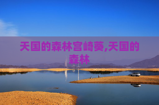 天国的森林宫崎葵,天国的森林