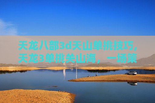 天龙八部3d天山单挑技巧,天龙3单挑关山海，一场策略与技巧的较量