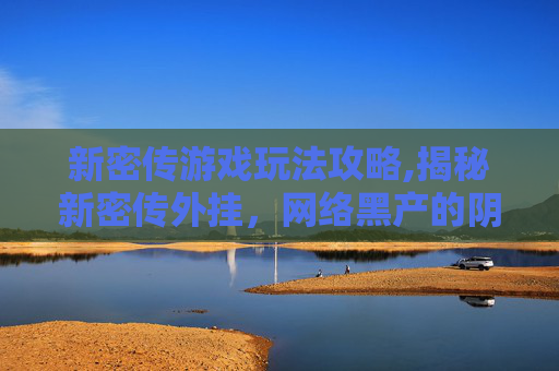 新密传游戏玩法攻略,揭秘新密传外挂，网络黑产的阴影与挑战