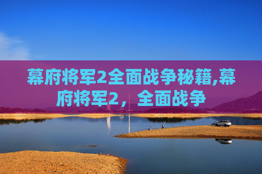 幕府将军2全面战争秘籍,幕府将军2，全面战争
