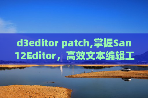 d3editor patch,掌握San12Editor，高效文本编辑工具的全方位指南