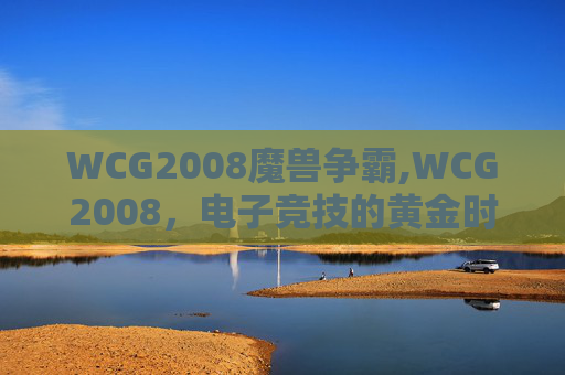 WCG2008魔兽争霸,WCG2008，电子竞技的黄金时代