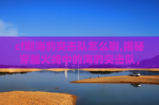cf刷海豹突击队怎么刷,揭秘穿越火线中的海豹突击队，如何通过技巧和策略提升游戏体验