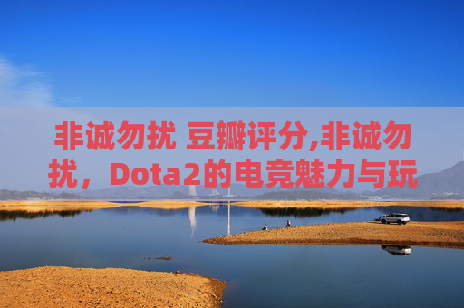 非诚勿扰 豆瓣评分,非诚勿扰，Dota2的电竞魅力与玩家心声
