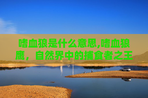 嗜血狼是什么意思,嗜血狼鹰，自然界中的捕食者之王