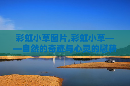 彩虹小草图片,彩虹小草——自然的奇迹与心灵的慰藉