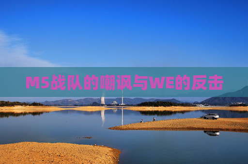 M5战队的嘲讽与WE的反击