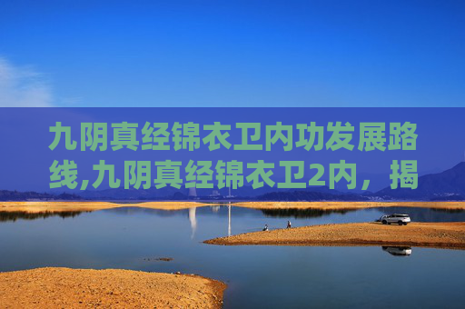 九阴真经锦衣卫内功发展路线,九阴真经锦衣卫2内，揭秘江湖中的隐秘势力