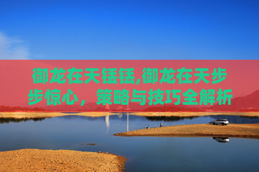 御龙在天铥铥,御龙在天步步惊心，策略与技巧全解析