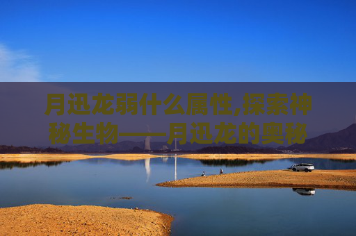 月迅龙弱什么属性,探索神秘生物——月迅龙的奥秘