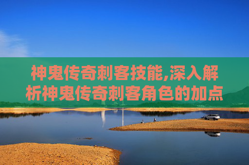 神鬼传奇刺客技能,深入解析神鬼传奇刺客角色的加点策略