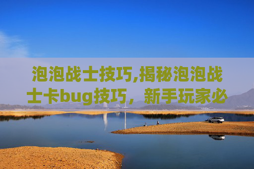 泡泡战士技巧,揭秘泡泡战士卡bug技巧，新手玩家必看攻略