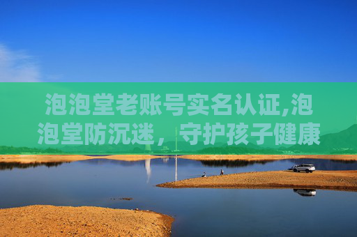 泡泡堂老账号实名认证,泡泡堂防沉迷，守护孩子健康成长的防线