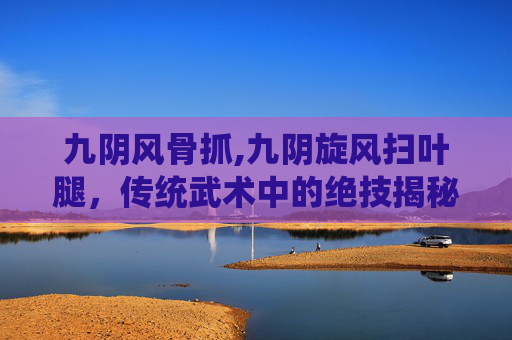 九阴风骨抓,九阴旋风扫叶腿，传统武术中的绝技揭秘