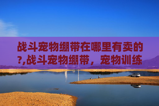战斗宠物绷带在哪里有卖的?,战斗宠物绷带，宠物训练与保护的完美结合