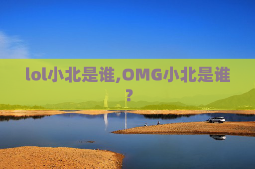 lol小北是谁,OMG小北是谁？