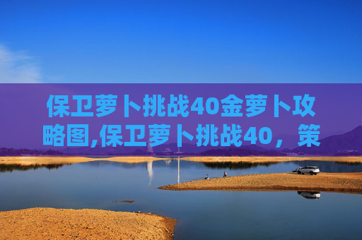保卫萝卜挑战40金萝卜攻略图,保卫萝卜挑战40，策略与技巧的终极考验