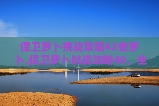 保卫萝卜挑战攻略42金萝卜,保卫萝卜挑战攻略40，全面解析与实用技巧