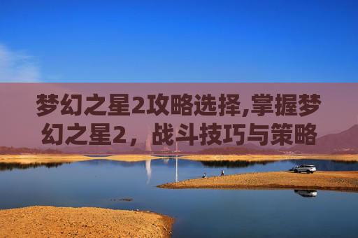 梦幻之星2攻略选择,掌握梦幻之星2，战斗技巧与策略全攻略
