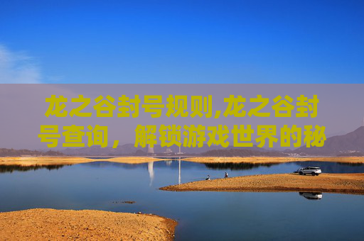 龙之谷封号规则,龙之谷封号查询，解锁游戏世界的秘密